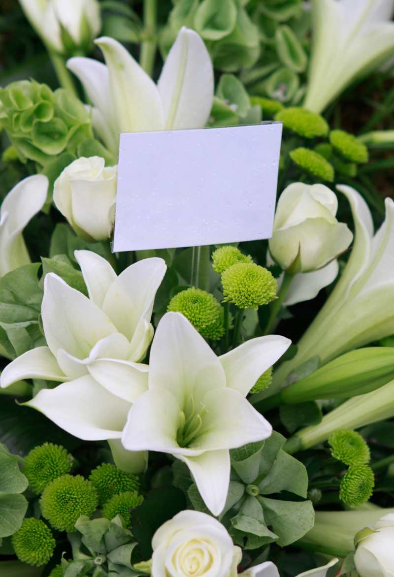 Celebration of life celebrant Celebration of life celebrant